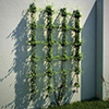 Rectangle Wall Mount Trellis - 30790-0000   DISCONTINUED ITEM  2ea left in stock 
